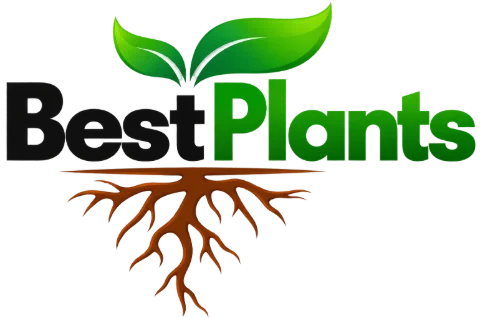 Best Plants AE