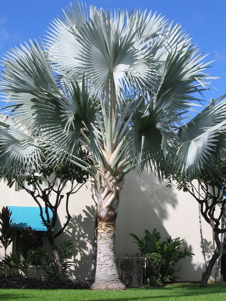 WhatsApp Image 2025-12-11 at 19.26.40_018e3226