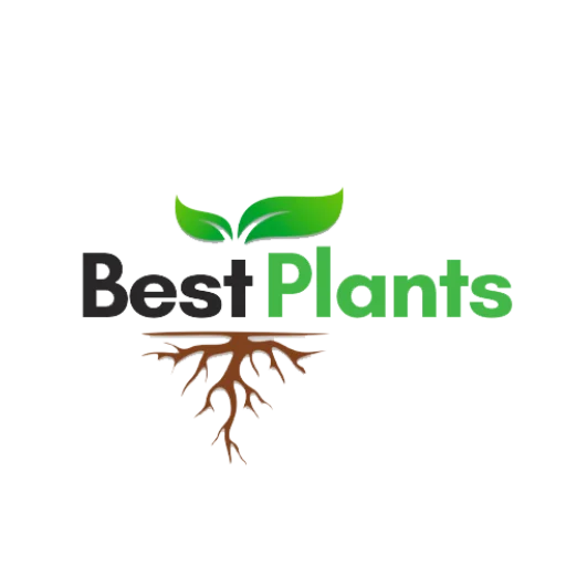 Best Plants