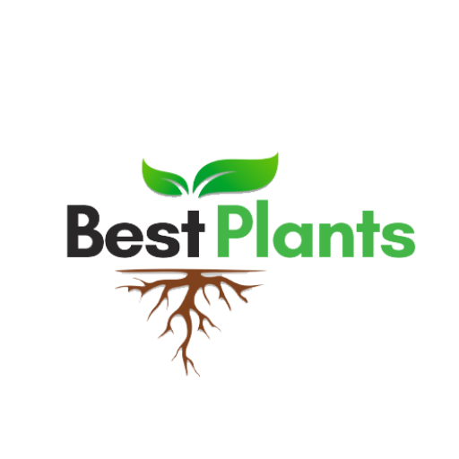 Best Plants