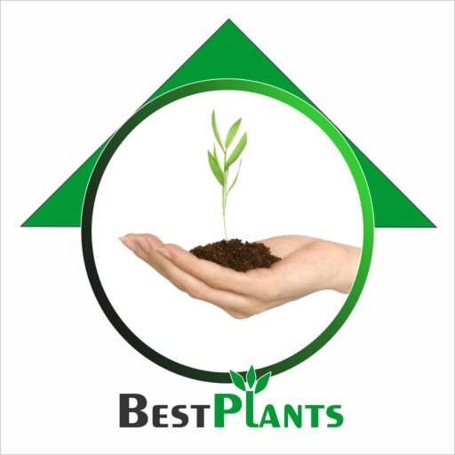 Best plants logo