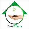 Best plants logo